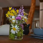 Bed & Breakfast Sot L'agner - Ospitalita Diffusa Conca Agordina 3*