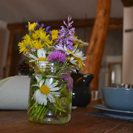 Bed and Breakfast Sot L'agner - Ospitalita Diffusa Conca Agordina 3*